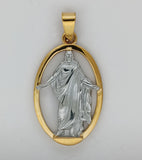 A necklace featuring a 2-tone version of the Christus
