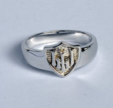 HLJ Gothic Shield Ring. Escudo Gótico, 14K #813