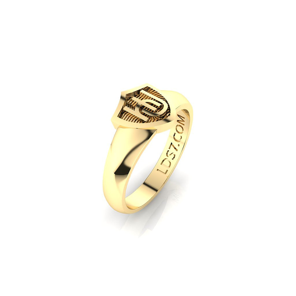 HLJ Embrace Shield Ring. Escudo Abrazo 14K 843 Celestial Ringdom