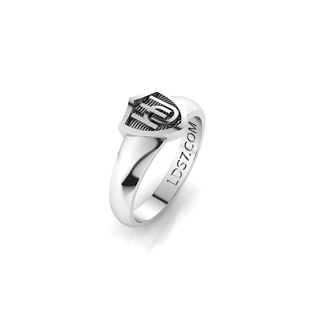 HLJ Embrace Shield Ring. Escudo Abrazo, Silver #843 | Celestial Ringdom